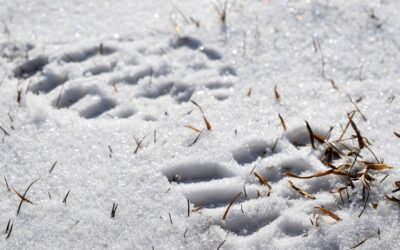 How To Protect Concrete From Cold Weather